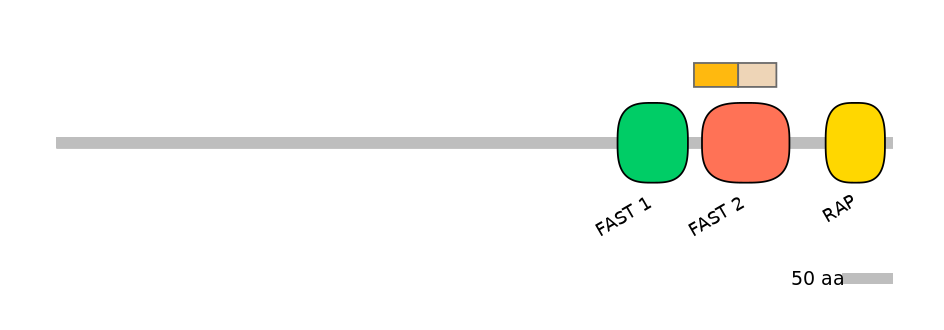RnoINT0059305-EXC