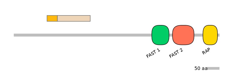RnoINT0059310-EXC
