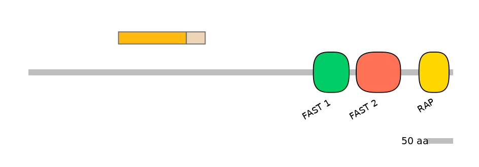 RnoINT0059311-EXC