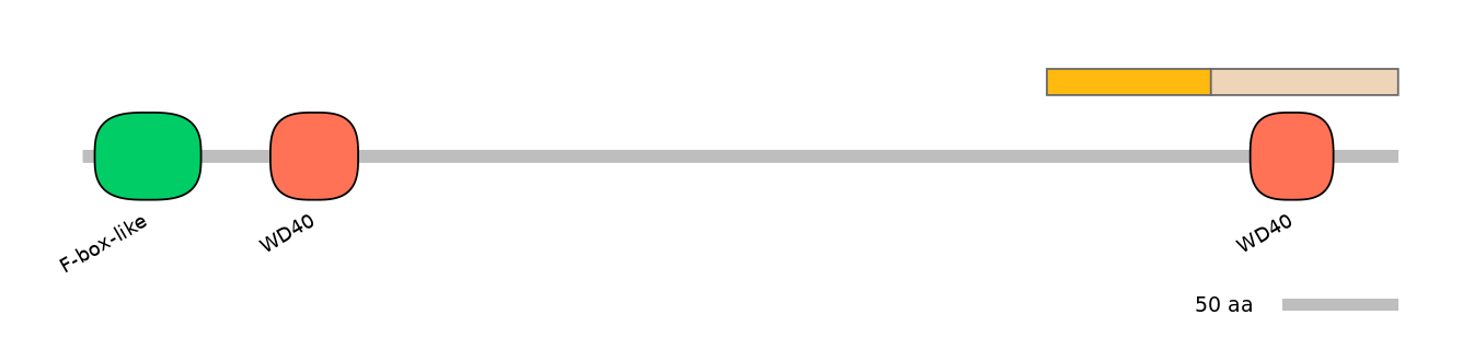 RnoINT0060110-EXC