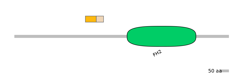 RnoINT0061034-EXC