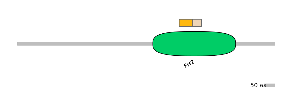 RnoINT0061039-EXC