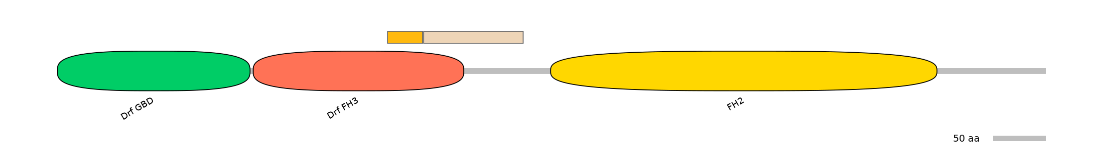 RnoINT0061660-EXC