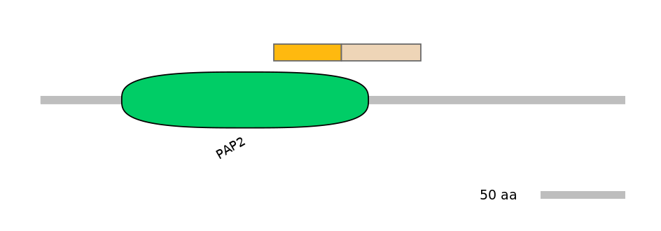 RnoINT0063275-EXC