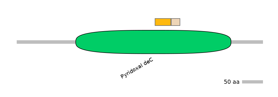 RnoINT0063551-EXC