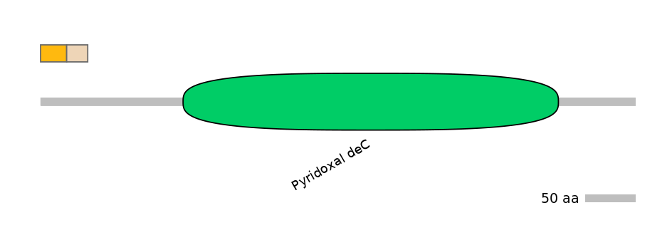 RnoINT0063557-EXC