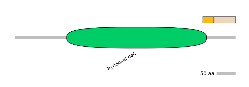 RnoINT0063571-EXC