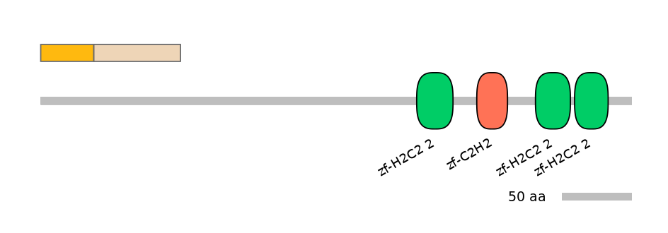 RnoINT0064785-EXC
