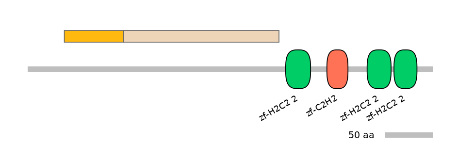 RnoINT0064786-EXC