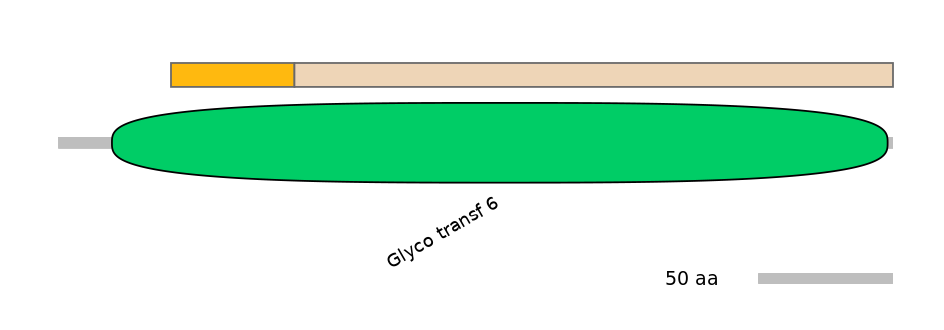RnoINT0065711-EXC