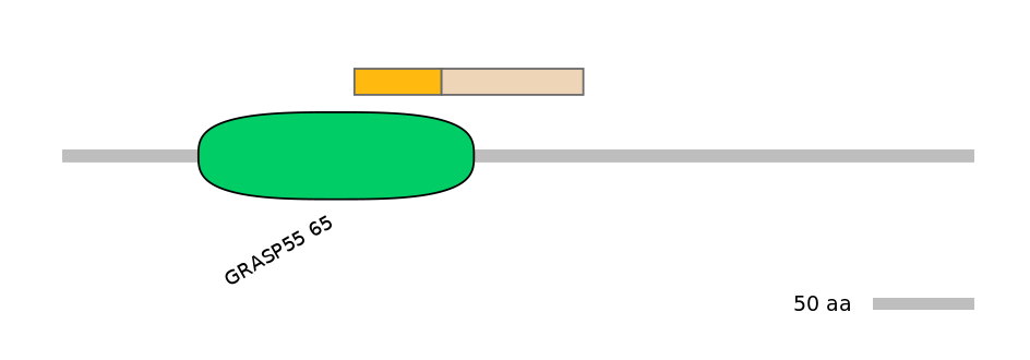 RnoINT0066445-EXC