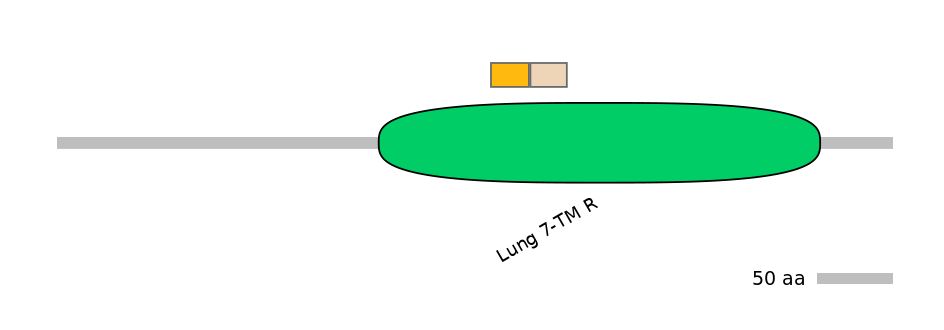 RnoINT0066892-EXC