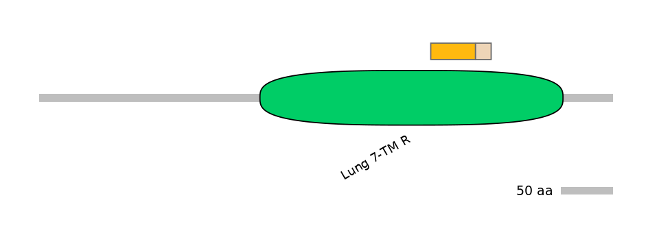 RnoINT0066895-EXC