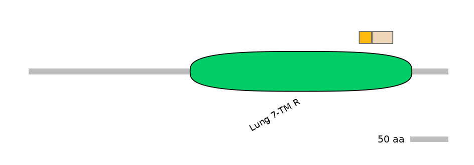 RnoINT0066897-EXC