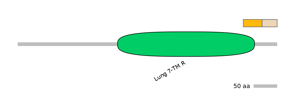 RnoINT0066899-EXC