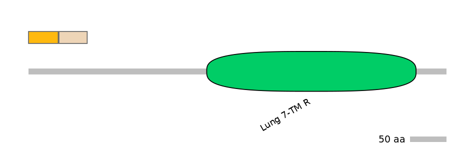 RnoINT0066908-EXC