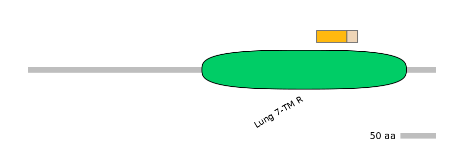 RnoINT0066911-EXC