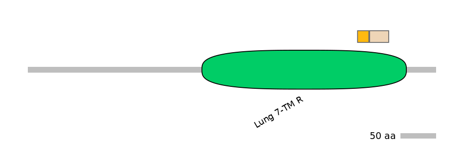 RnoINT0066913-EXC