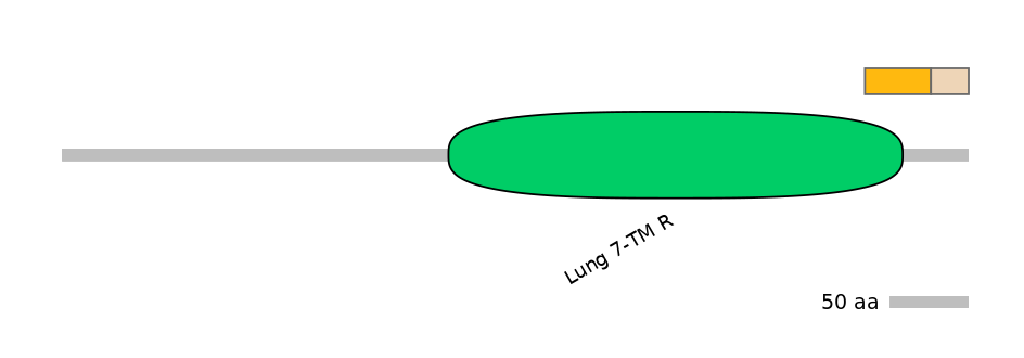 RnoINT0066915-EXC