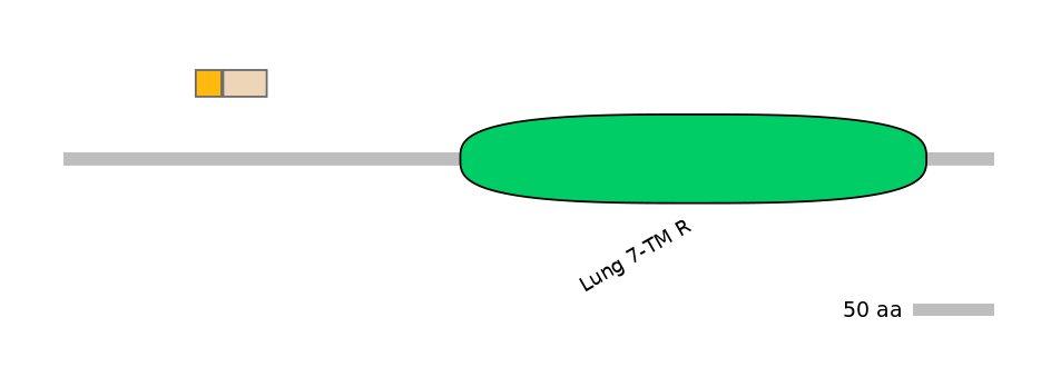RnoINT0066917-EXC