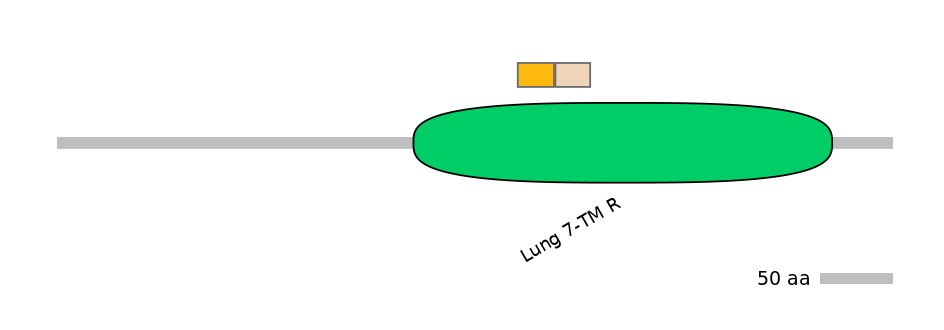 RnoINT0066923-EXC