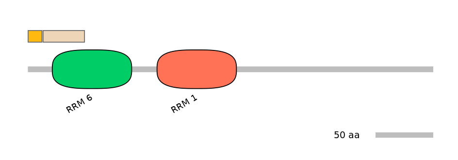 RnoINT0071388-EXC