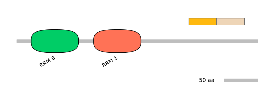 RnoINT0071395-EXC