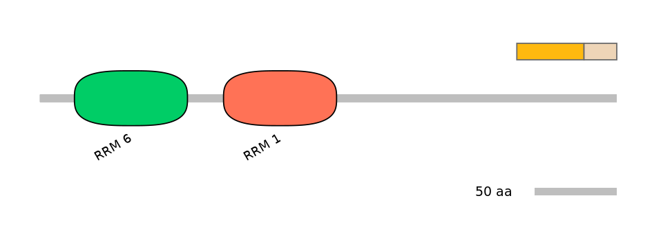 RnoINT0071396-EXC