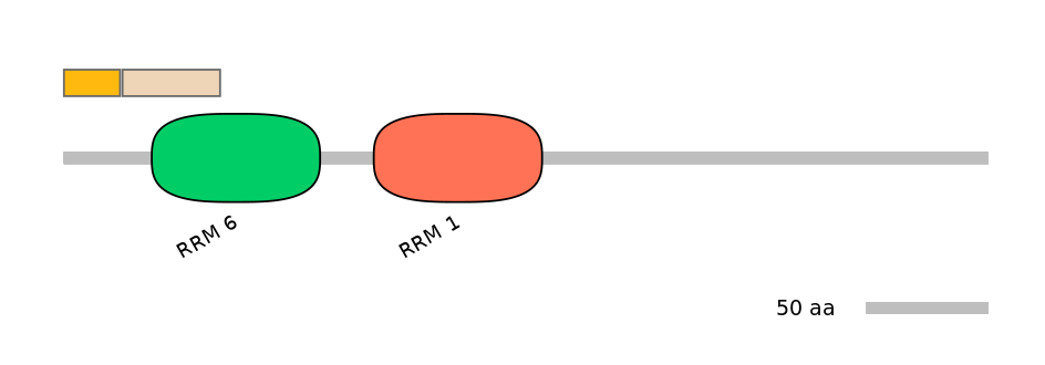RnoINT0071397-EXC