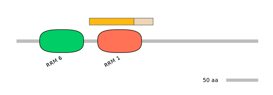 RnoINT0071400-EXC