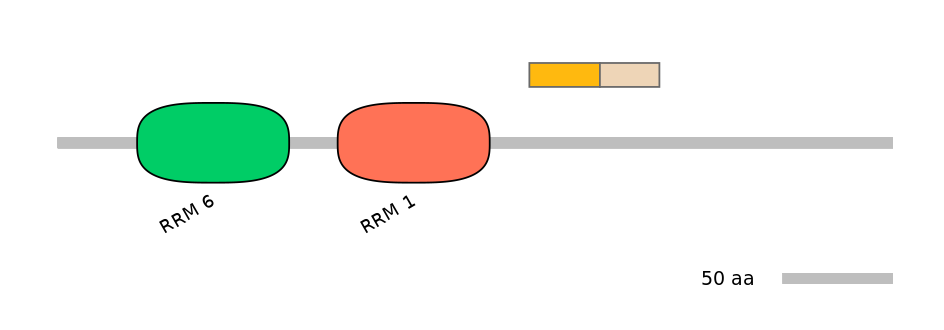 RnoINT0071402-EXC
