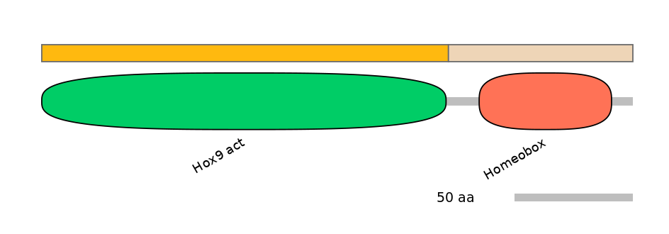 RnoINT0071653-EXC