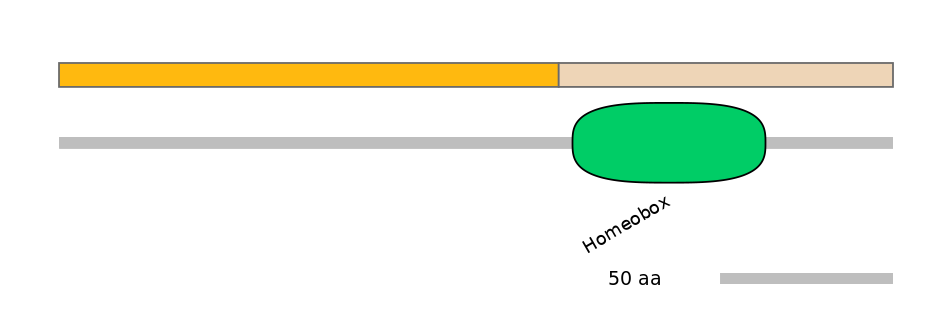 RnoINT0071661-EXC