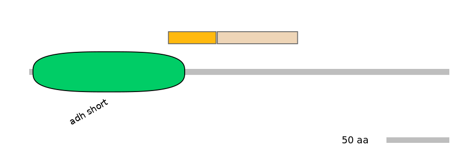 RnoINT0071971-EXC