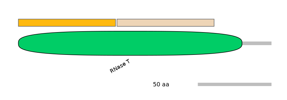 RnoINT0075723-EXC