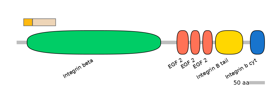 RnoINT0076308-EXC