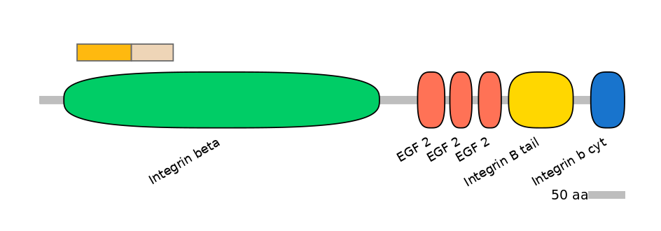 RnoINT0076309-EXC