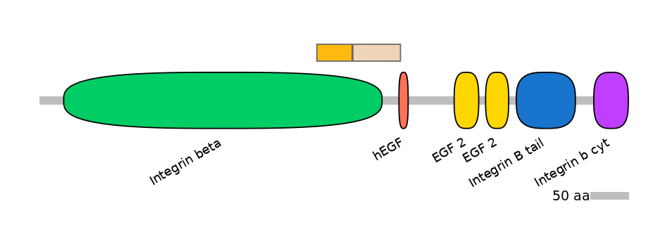 RnoINT0076335-EXC