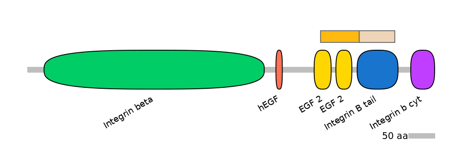 RnoINT0076338-EXC