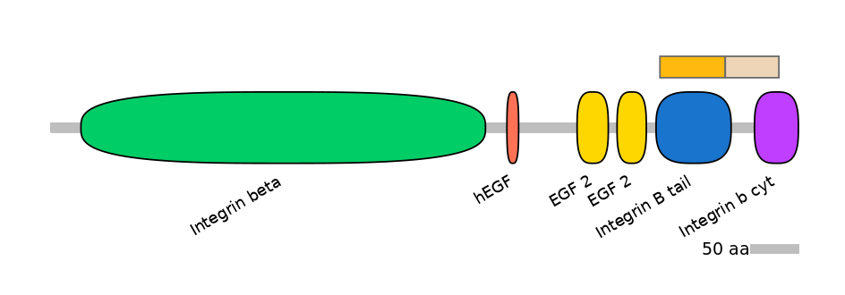 RnoINT0076339-EXC