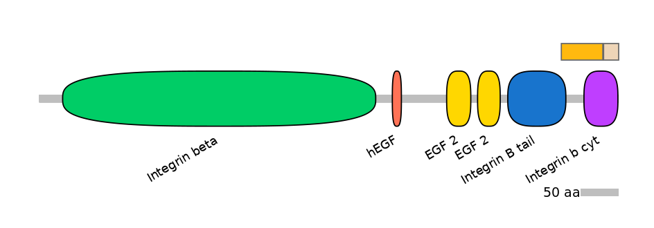 RnoINT0076340-EXC