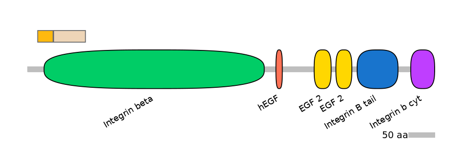 RnoINT0076342-EXC