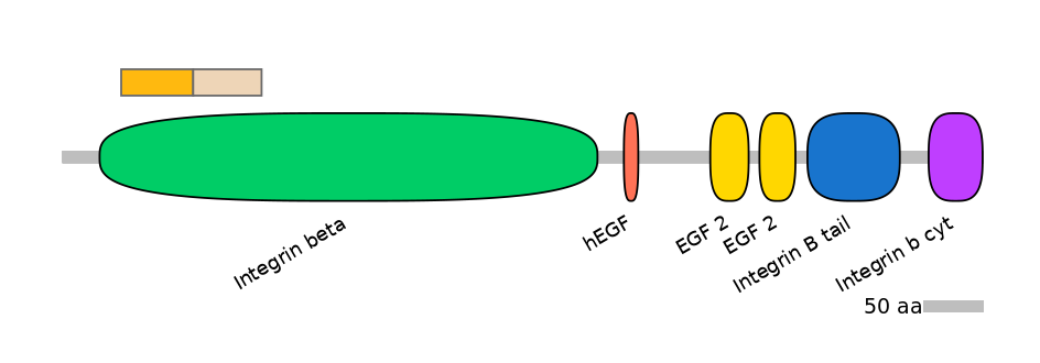 RnoINT0076343-EXC