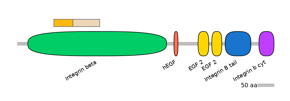 RnoINT0076344-EXC