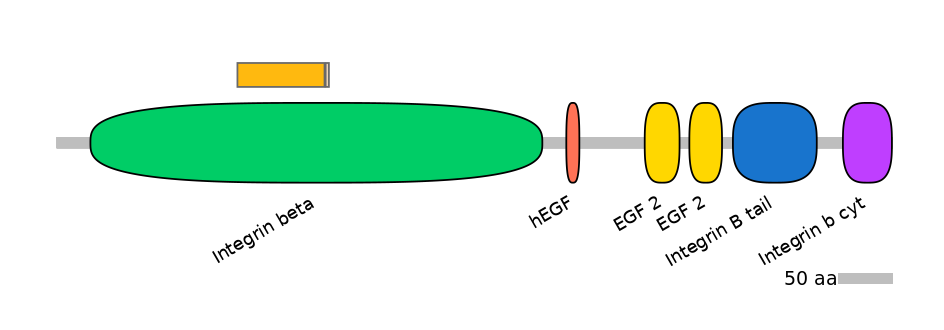 RnoINT0076345-EXC