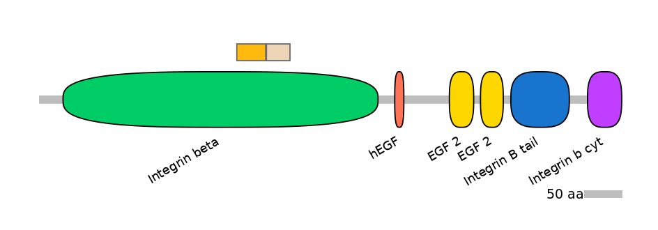 RnoINT0076346-EXC