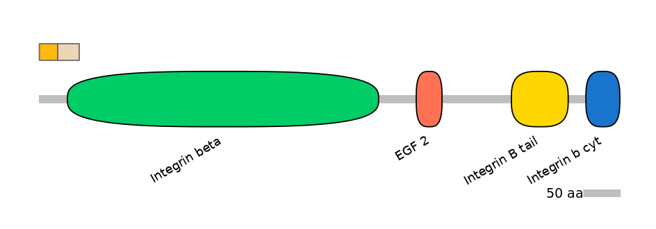 RnoINT0076347-EXC