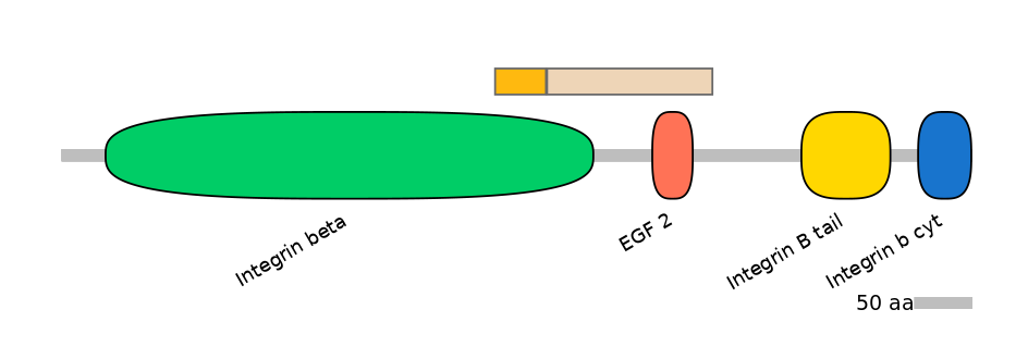 RnoINT0076361-EXC
