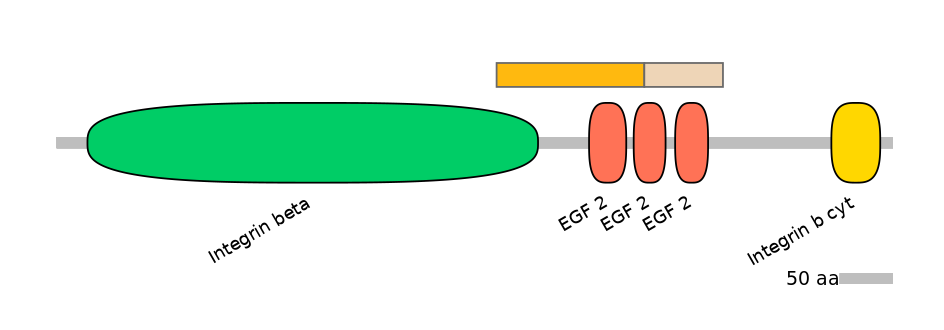 RnoINT0076420-EXC