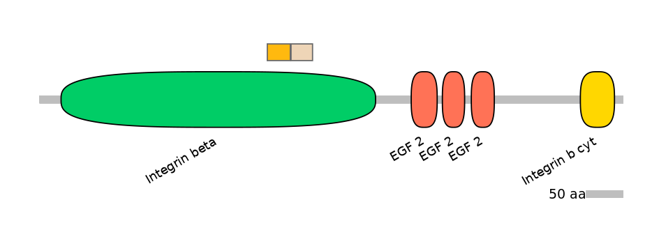 RnoINT0076431-EXC
